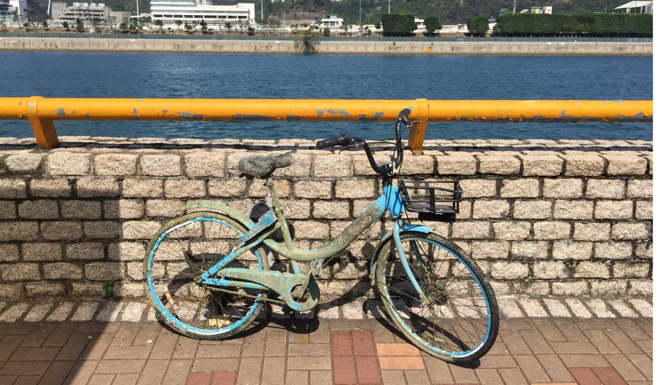 A bike that has been vandalised. Photo: LocoBike
