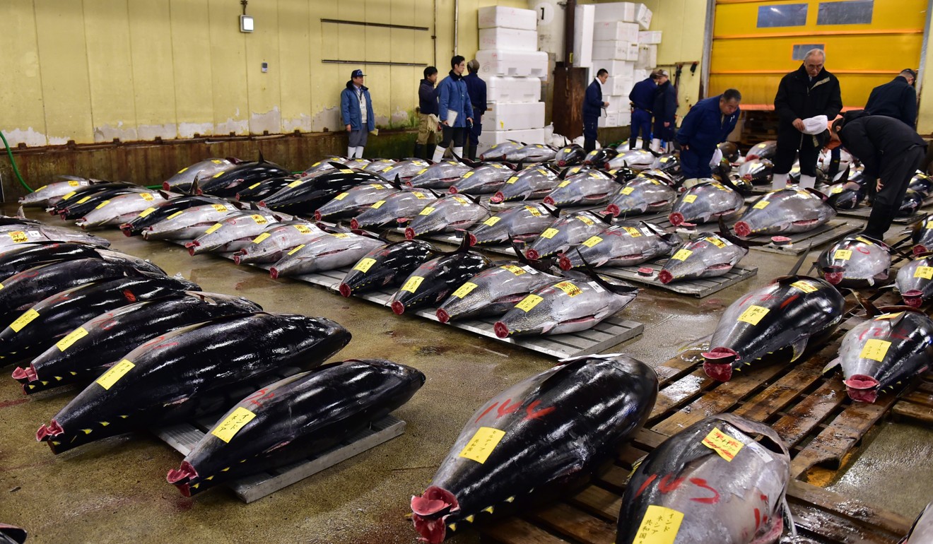 Bluefin tuna go under the hammer at Tokyo’s Tsukiji fish market. Japan is a leading provider of government subsidies to high seas fishing fleets. Photo: AFP