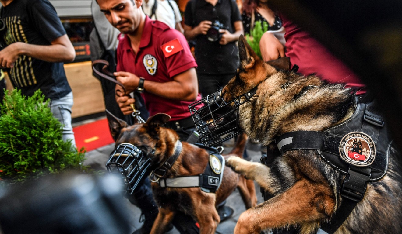 Police officers with dogs walk in the streets of Istanbul on Sunday. Photo: AFP