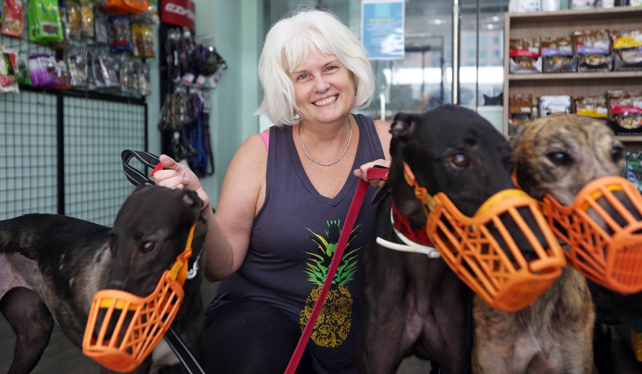 Kathleen Trainor says her love affair with greyhounds started almost three decades ago. Photo: Xiaomei Chen