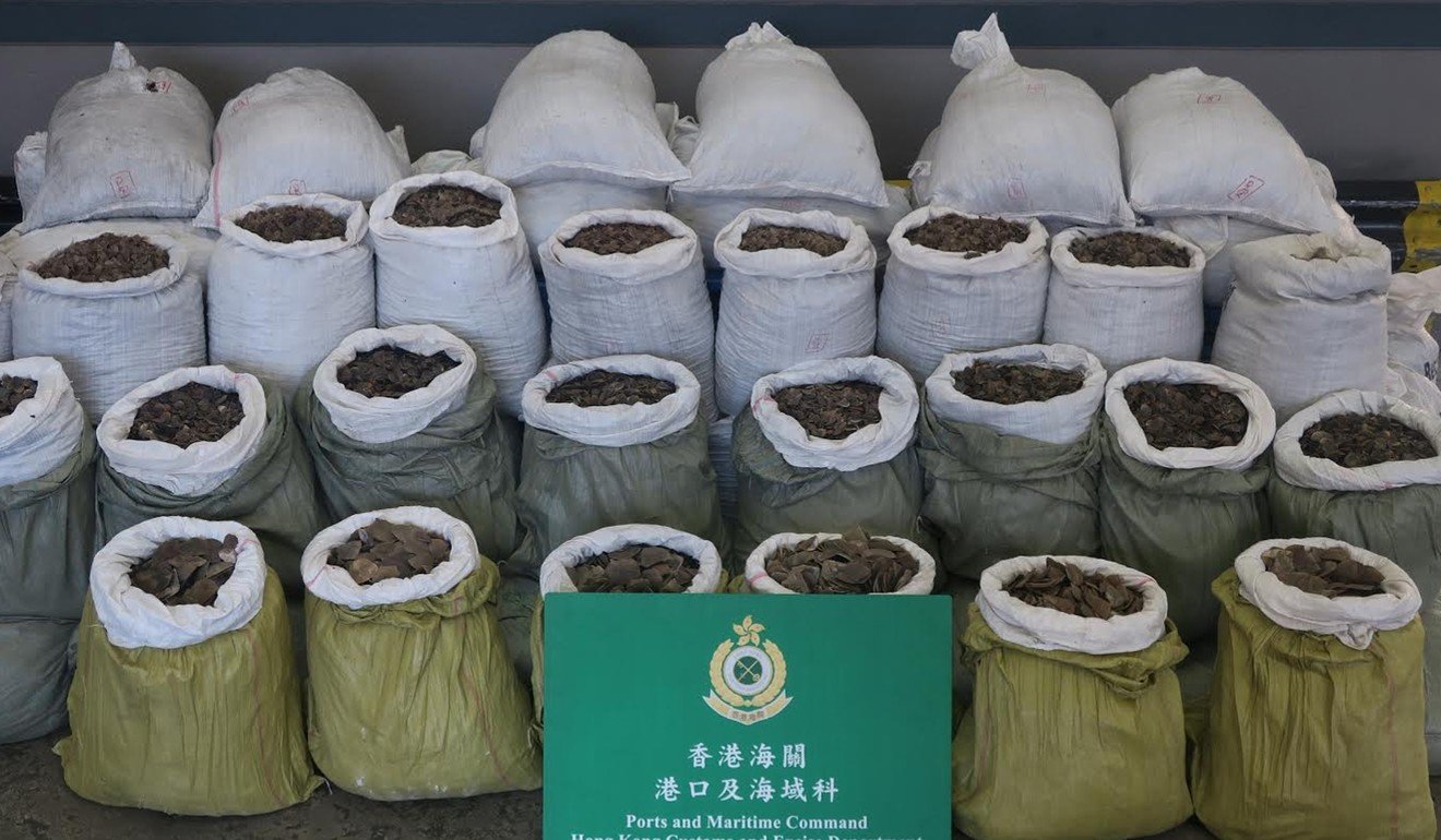 Customs seized about 7.2 tonnes of pangolin scales in May last year. Photo: Handout