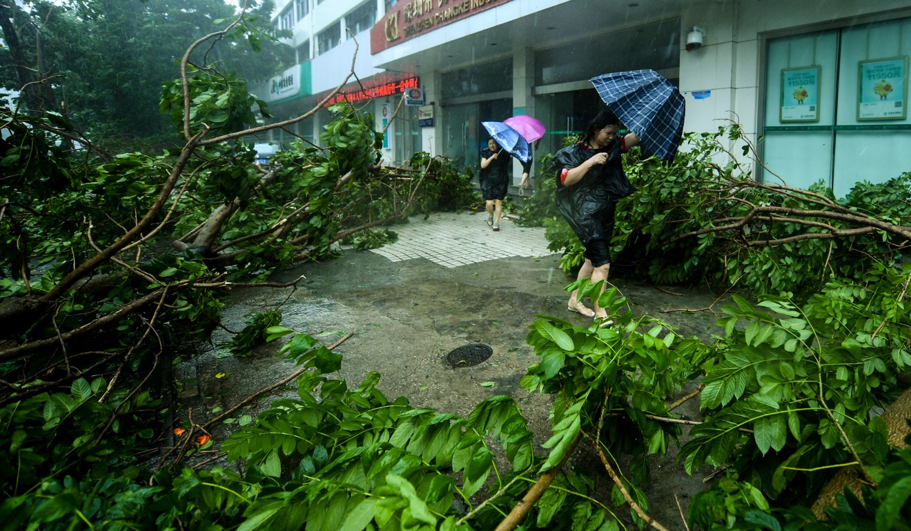 Pedestrians walk past broken branches in Shenzhen. Photo: Xinhua