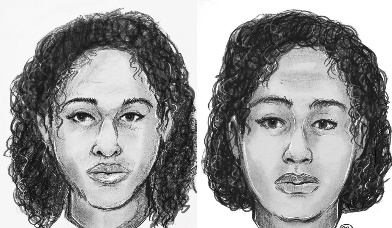 Sketch released while police were attempting to identify bodies found in New York City. The women lwere later identified as Rotana Farea, 22, and Tala Farea, 16. Photo: Washington Post