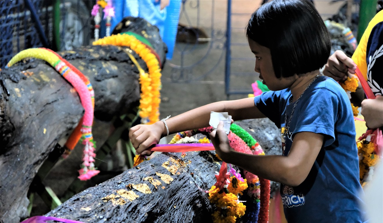 A girl wraps votive ribbons around a sacred tree trunk. Photo: Tibor Krausz