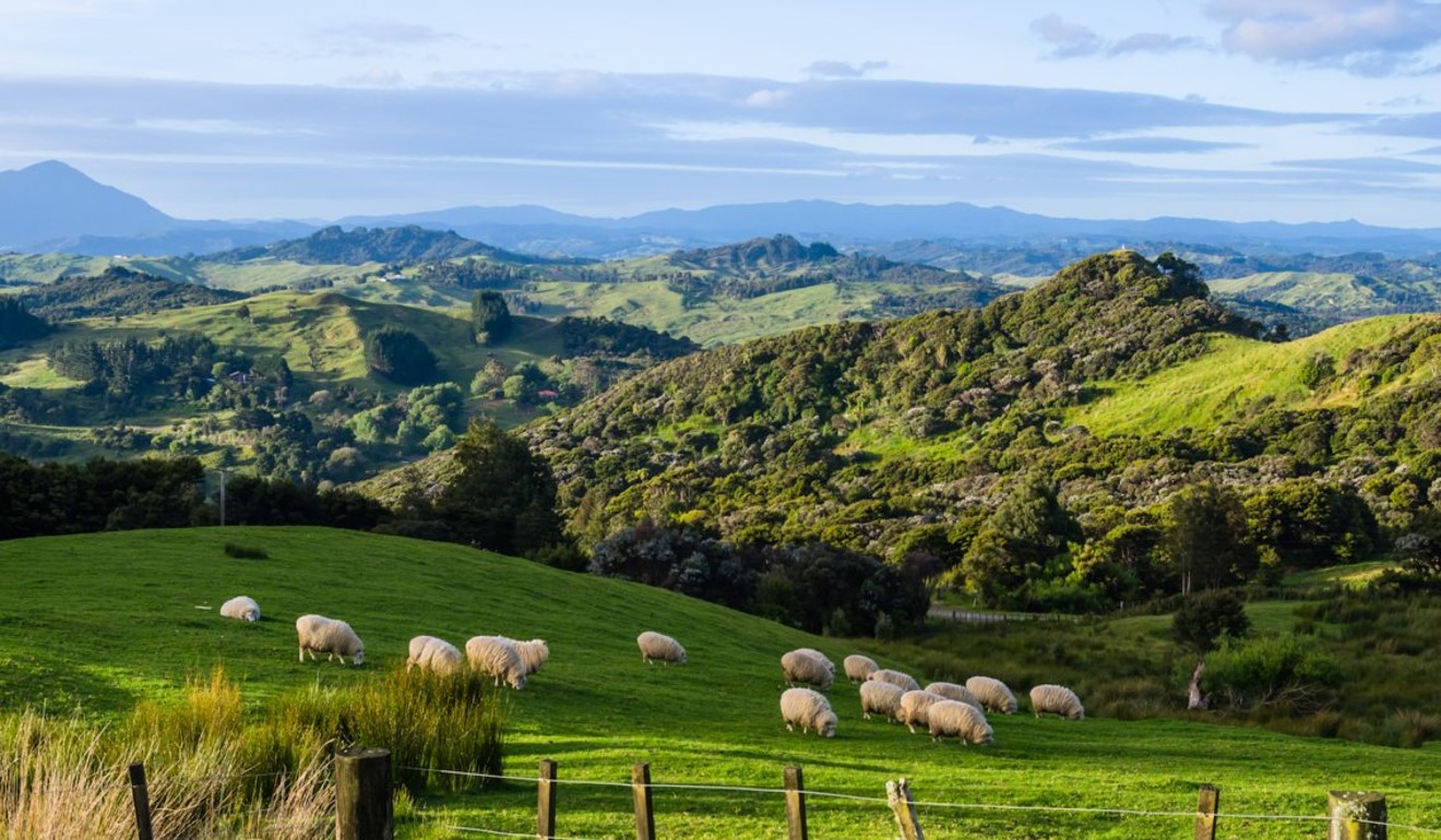 Rural scene. Photo: Shutterstock