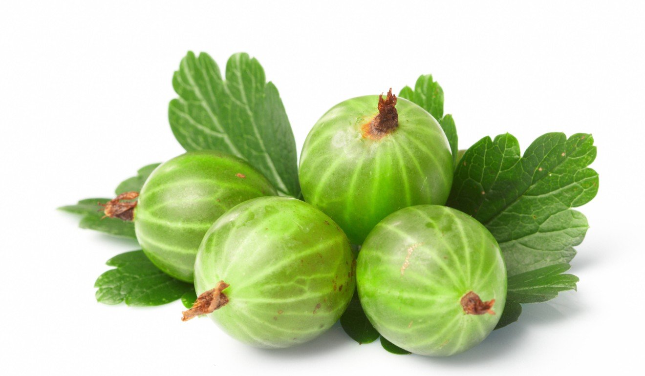 Soviet scientists were looking into the effects of an acid found in unripe gooseberries. Photo: Shutterstock