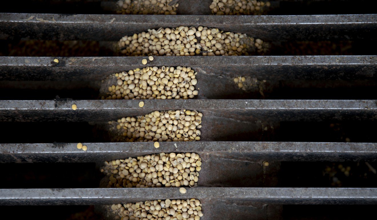 Many American soybean growers were crushed by falling prices when they suddenly lost their biggest buyer last year. Photo: Bloomberg