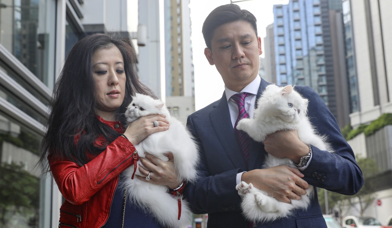 Chang Jin-yi, owner of the two stolen cats, and lawmaker Jeremy Tam. Photo: Sam Tsang