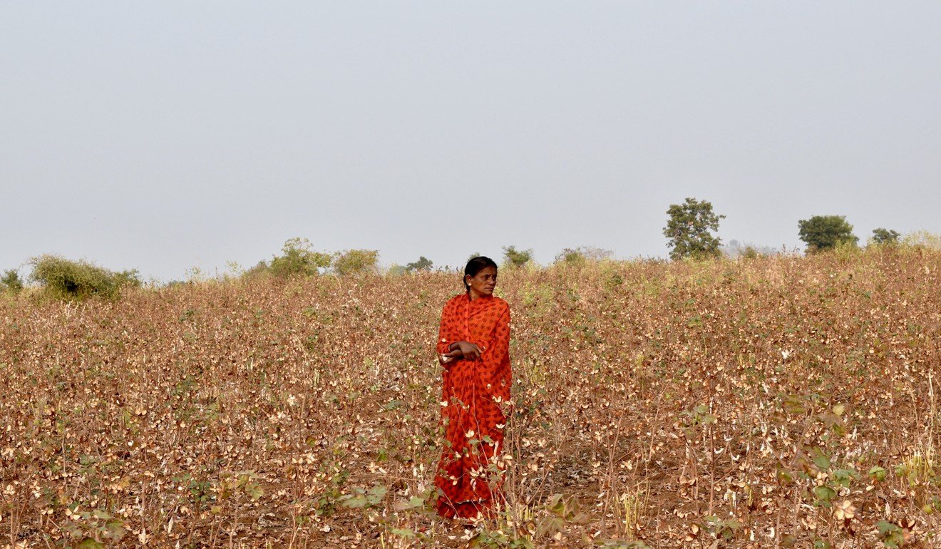 Shantabai’s husband Vinod, a cotton farmer, committed suicide ten years ago. She had no time to mourn and returned to work the day after his death. Photo: Team Ceritalah