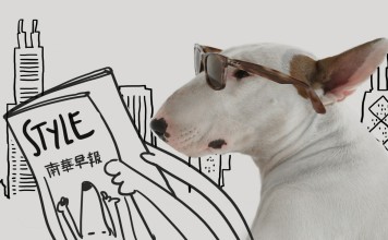 Jimmy Choo the dog is a big fan of ‘STYLE’ magazine