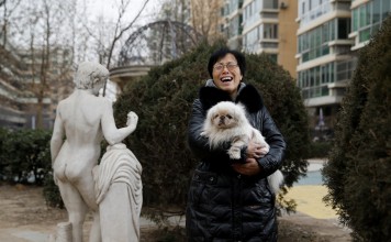Pekingese owner Hu Yujie takes her pet Xiaobai out for a stroll in Beijing. Photo: Reuters