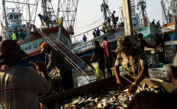 Migrant workers sort fish and seafood in Samut Sakhon province, Thailand. Photo: Reuters