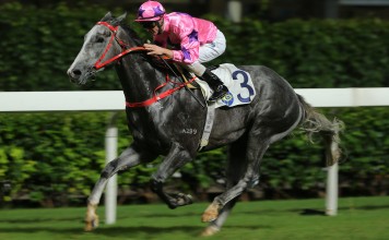 Hot King Prawn wins under Zac Purton at Happy Valley. Photos: Kenneth Chan