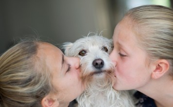 Luisa Tam details humans’ deep bond with the loyal creatures, and urges against abandoning them as if they were disposable
