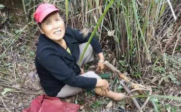 The woman was caught in the trap in mountains near her home on Friday. Photo: Sina