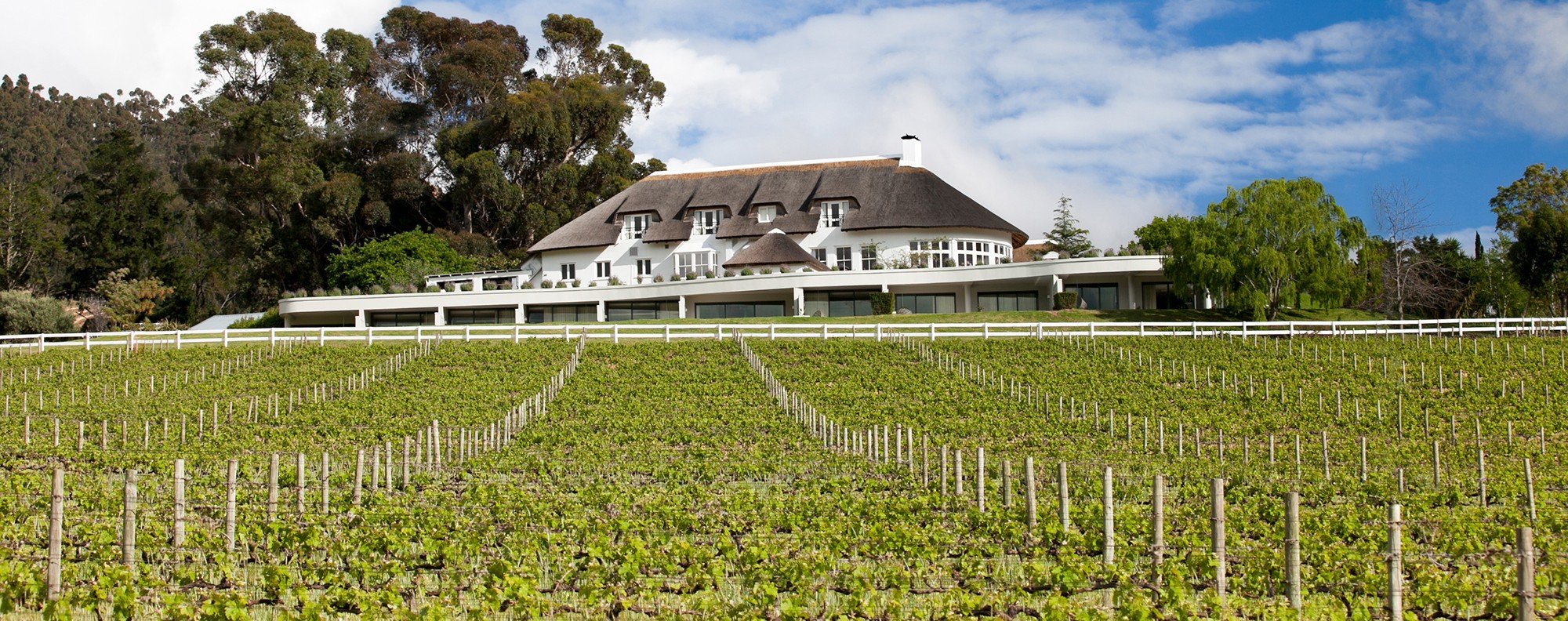 Travel Richard Branson S South African Winery And Boutique Hotel Travel Richard Branson S South African Winery And Boutique Hotel Mont Rochelle Post Magazine China Morning
