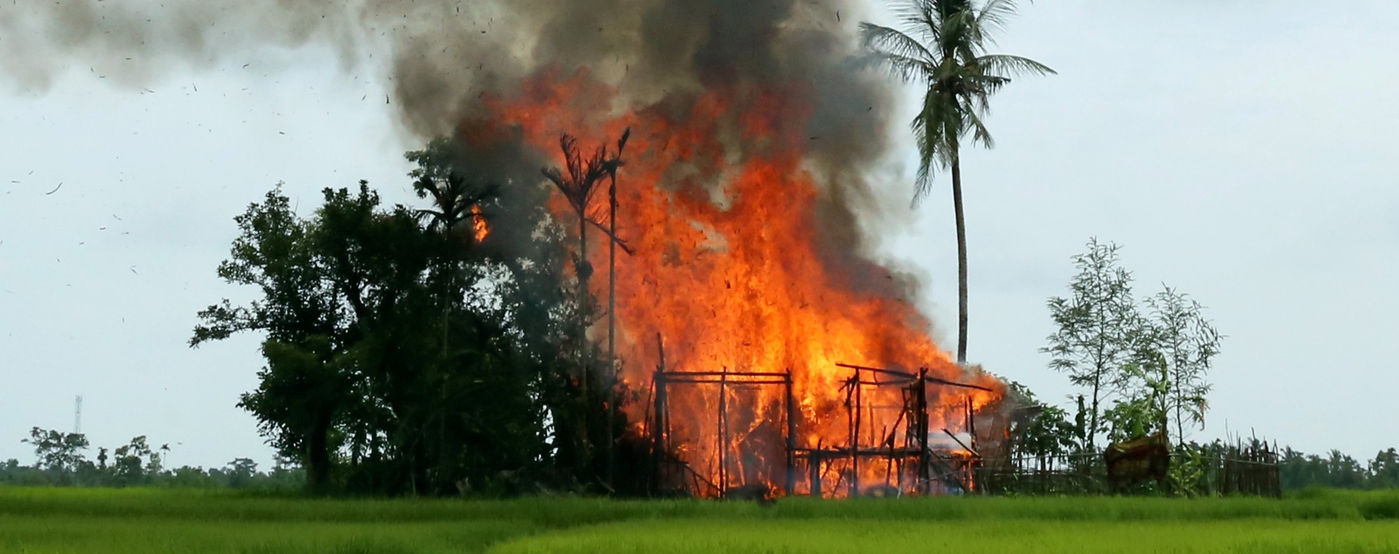 A house on fire in Rakhine state. Photo: Reuters