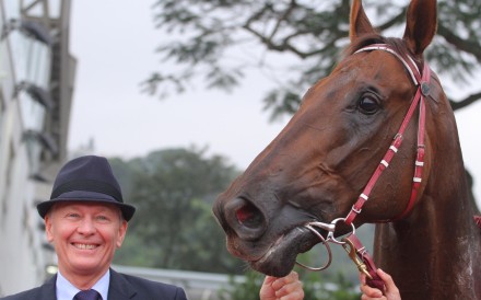 Trainer John Moore says Able Friend is a "gentle giant"and "nothing fazes him". Photos: Kenneth Chan 
                                
