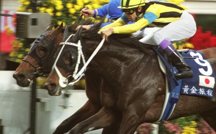 Stay Gold just gets up in the final stride to nab Ekraar in the Hong Kong Vase. Photo: SCMP Pictures