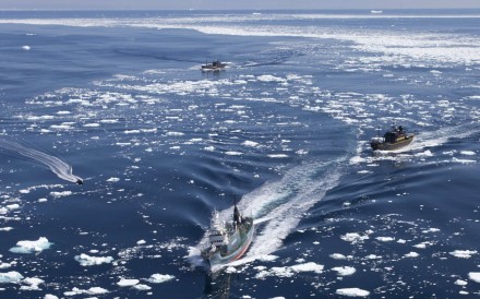File photo of Sea Shepherd ships chasing a Japanese whaling vessel. Photo: AP/Sea Shepherd Conservation Society