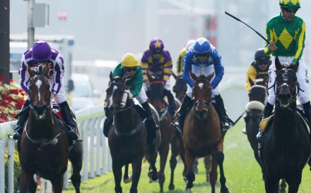 Highland Reel (left) loses no admirers in running second. Photos: Kenneth Chan
