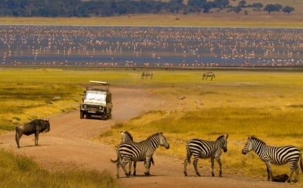 What could be more awe-inspiring than seeing the Big Five in their natural habitat? Not sharing the view with hordes of other tourists, and rich people with guns, perhaps