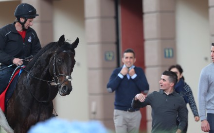 Poet’s Word does a lap of the parade ring next to jockey Andrea Atzeni after galloping on the turf at Sha Tin. Photos: Kenneth Chan