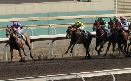 Perpetual Treasure (left) bolts clear of his rivals on the all-weather track at Sha Tin on Sunday. Photos: Kenneth Chan
