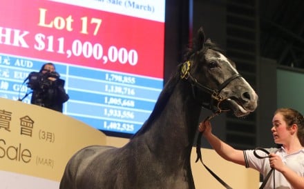 Lot 17 is sold for a record HK$11 million at the Hong Kong International Sale in March. Photos: Kenneth Chan