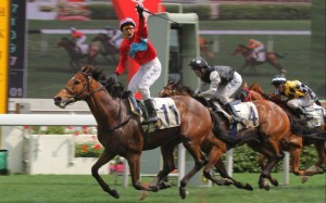 Panther Run (left) will relish a return to his winning distance of 1,800m.