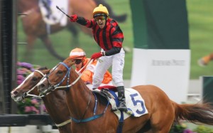 Brett Prebble stands in his stirrups in delight after Rainbow Chic's triumph. Photo: Kenneth Chan