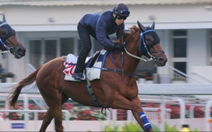 Packing Whiz. Photo: Kenneth Chan