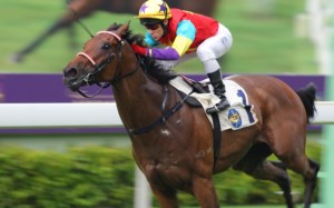 Polymer Win appreciated the softer ground at Sha Tin yesterday. Photo: Kenneth Chan