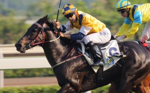 Joao Moreira has made the right decision to stick with Sterling City ahead of Amber Sky in Sunday's Jockey Club Sprint. Photo: Kenneth Chan.