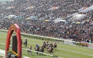 More than 100,000 fans will try not to rub shoulders at Sha Tin on Sunday. Photos: Kenneth Chan, Edward Wong