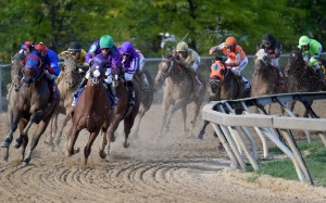 California Chrome, in the green cap, leads the field into the stretch in the Preakness Stakes at Pimlico racecourse in Baltimore. Hong Kong punters couldn't watch this race live, just as they won't be able to watch the third leg of the Triple Crown - the Belmont Stakes. Photo: Washington Post/Jonathan Newton