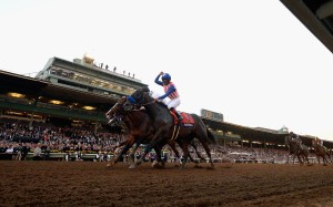 Jockey Martin Garcia celebrates winning the 2014 Breeders' Cup Classic on Bayern at the historic Santa Anita racetrack. Photo: AFP