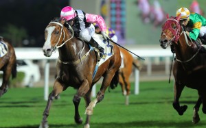 Beauty Only (Neil Callan) shows tenacity to remain unbeaten. Photo: Kenneth Chan 