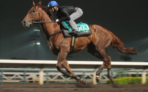 Able Friend, with Joao Moreira aboard, may not be at his best this weekend but should be for international day. Photos: Kenneth Chan
