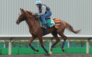 Red Cadeaux works on the track deemed "unusable" by his connections last Thursday. Photo: Kenneth Chan