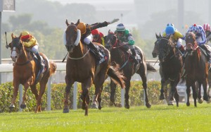Hong Kong Mile winner Able Friend was the star attraction at Tuesday morning's barrier trial session at Sha Tin. Photo: Kenneth Chan