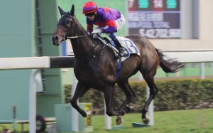 Douglas Whyte drives Sky Hero to the line for an effortless victory. Photos: Kenneth Chan