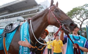 Able Friend departs for his Royal Ascot engagement on Saturday morning. Photo: Kenneth Chan