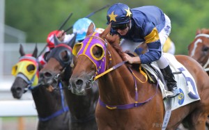 Zac Purton guides Winnam to the horse's second victory in Hong Kong. Photos: Kenneth Chan