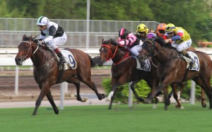 Too Fast races away to win convincingly, giving John Moore his 55th win of the season. Photo: Kenneth Chan