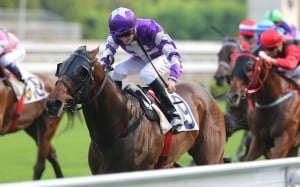 Chad Schofield gets the most out of blueblood Strathmore to win on opening day. Photo: Kenneth Chan