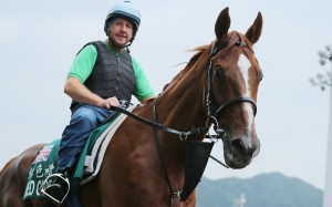 This five-time visitor to Hong Kong ranks on top in any list of globetrotting racehorses. Who is it? Photo: Kenneth Chan