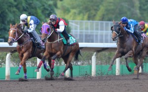 Redkirk Warrior (Zac Purton) and Multivictory (Alvin Ng) race away in a dirt trial at Sha Tin on Tuesday. Photo: Kenneth Chan