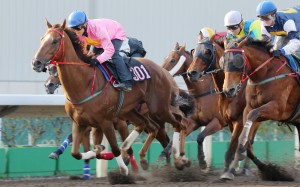 Sun Jewellery (Keith Yeung) wins a trial yesterday, with Derby-winning stablemate Luger (Zac Purton) and globetrotter Rich Tapestry (Gregory Benoist) finishing close up.Photos: Kenneth Chan