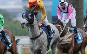 Giant Treasure (Christophe Soumillon) won the Stewards' Cup last start, beating Luger and Contentment in a three-way finish. He can book a trip to Dubai with a win today. Photo: Kenneth Chan